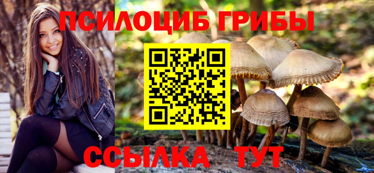 Ликино-Дулёво  Псилоцибиновые грибы Psilocybe  Вход с VPN  Галлюциногенные грибы Magic Shrooms 