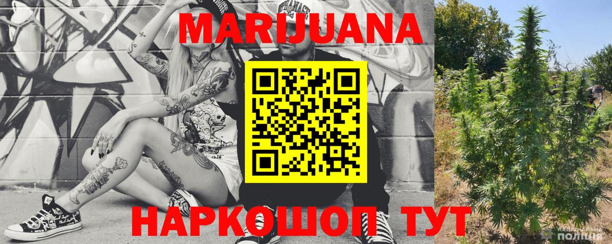 Бошки марихуана гибрид  Каннабис план  Каннабис сатива  Канабис конопля  Вход с VPN  Ликино-Дулёво 